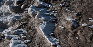 DSC_6664